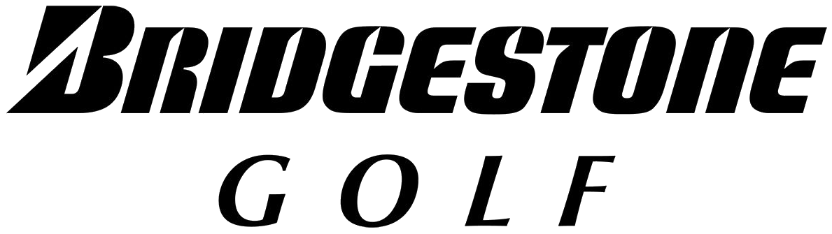 브리지스톤(Bridgestone) BI/CI 아카이브